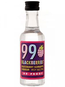 99 Blackberry Schnapps 12ct/50ml