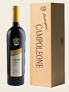 Lamborghini Campoleone Magnum w/ Wooden Box 1.5 L